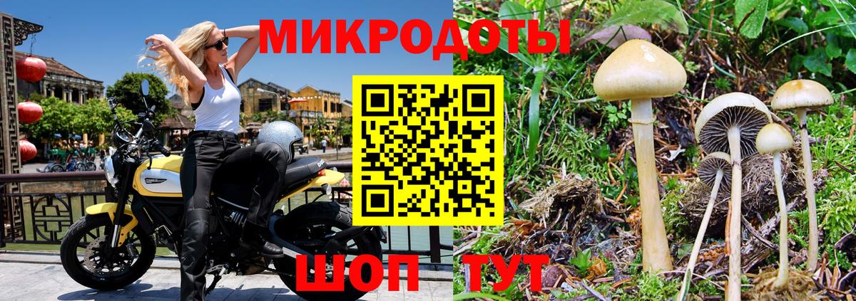 Псилоцибиновые грибы MAGIC MUSHROOMS  Галлюциногенные грибы Cubensis  Чехов  Вход с VPN 